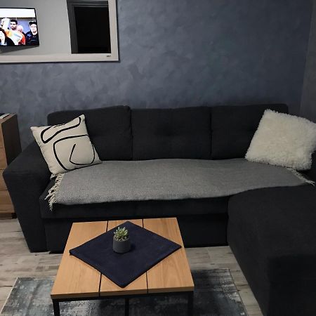 Homely Apartment Suceava Dış mekan fotoğraf
