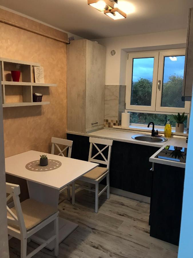 Homely Apartment Suceava Dış mekan fotoğraf