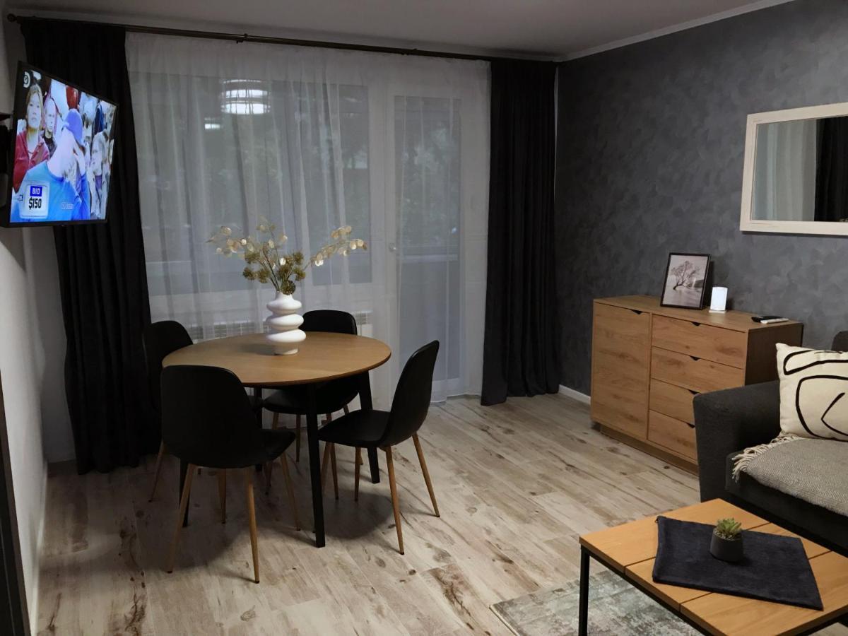 Homely Apartment Suceava Dış mekan fotoğraf