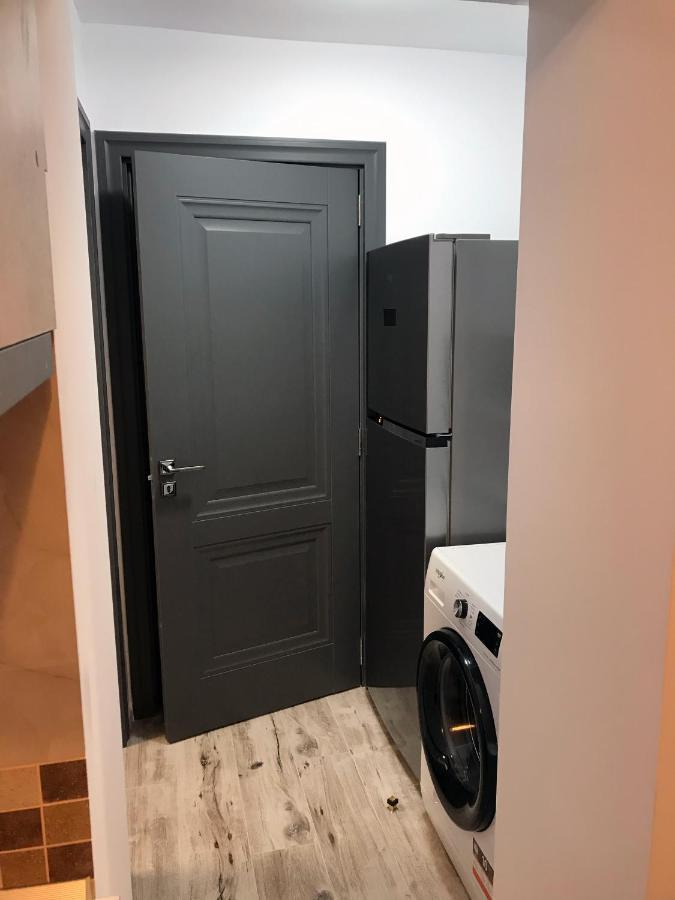 Homely Apartment Suceava Dış mekan fotoğraf