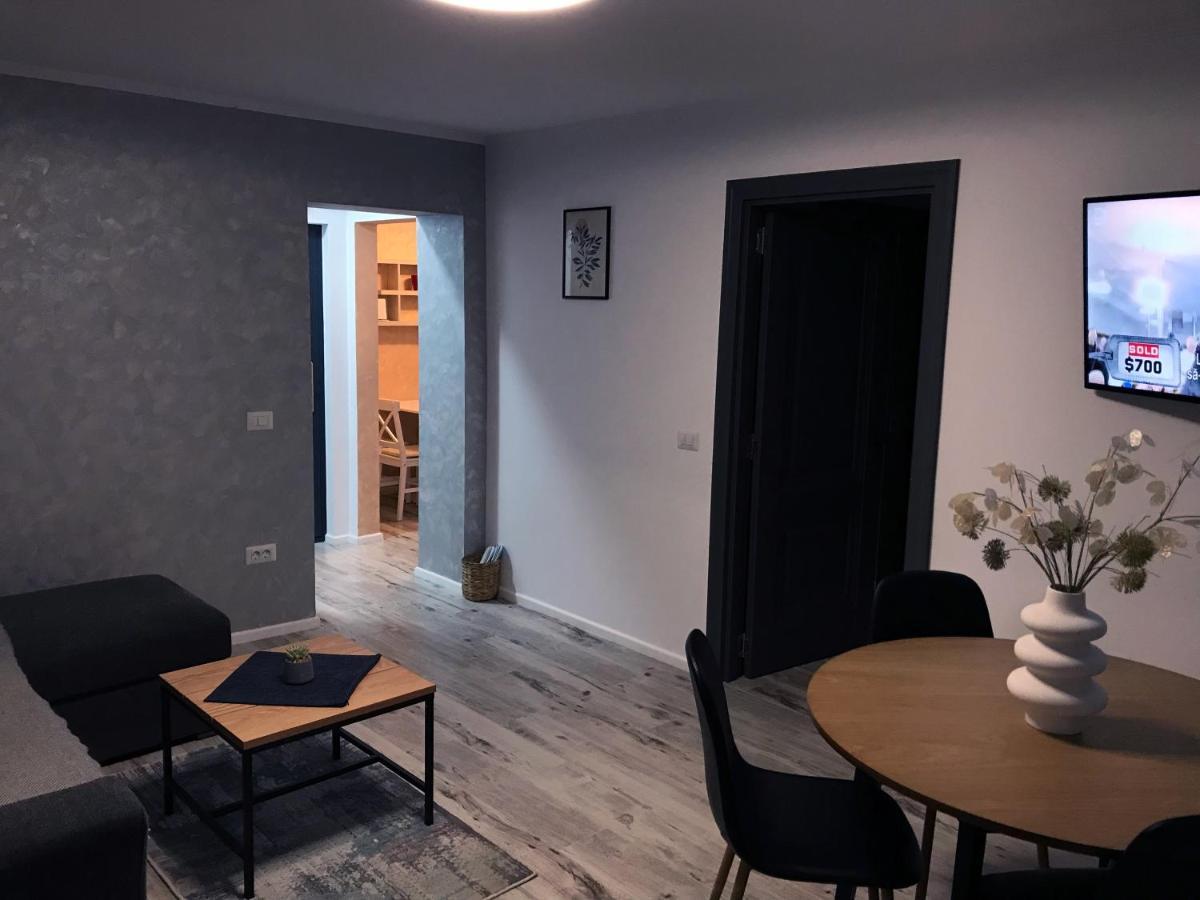 Homely Apartment Suceava Dış mekan fotoğraf