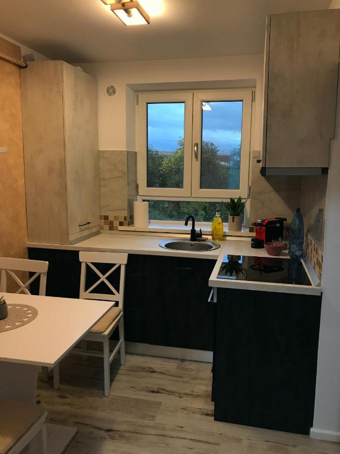 Homely Apartment Suceava Dış mekan fotoğraf