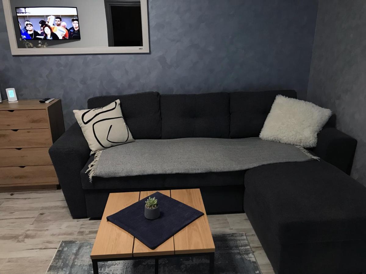Homely Apartment Suceava Dış mekan fotoğraf