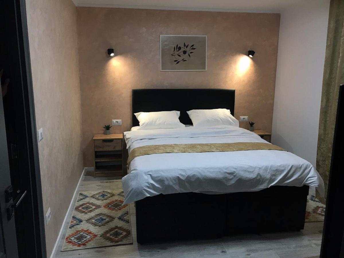 Homely Apartment Suceava Dış mekan fotoğraf