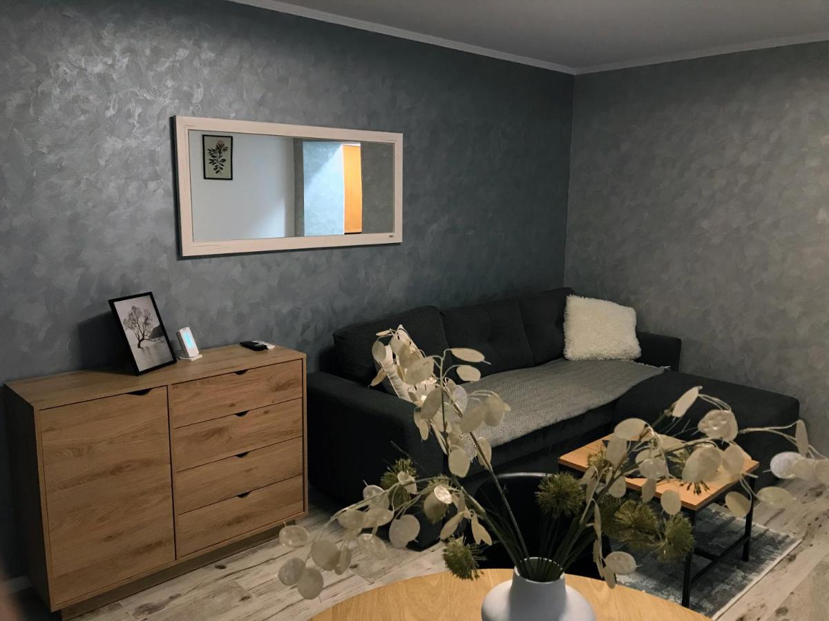 Homely Apartment Suceava Dış mekan fotoğraf